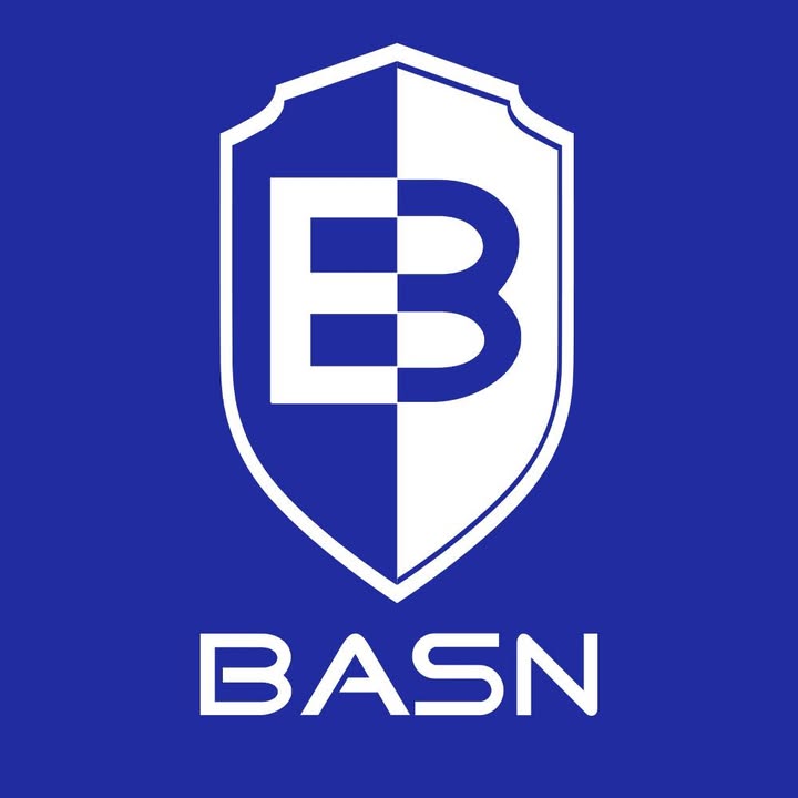 Basn Audio logo