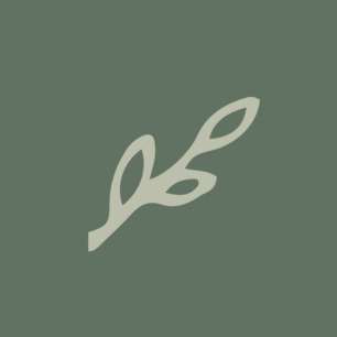 Biankina logo