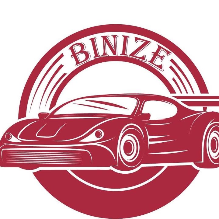 Binize logo