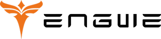 Engwe EU logo