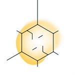 spermidineLIFE logo