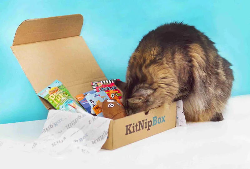 KitNipBox