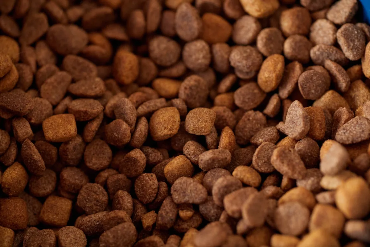 Wet and Dry Food Actually Contain