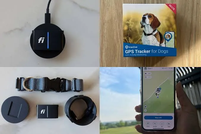 Fi Series 3+ vs. Tractive GPS