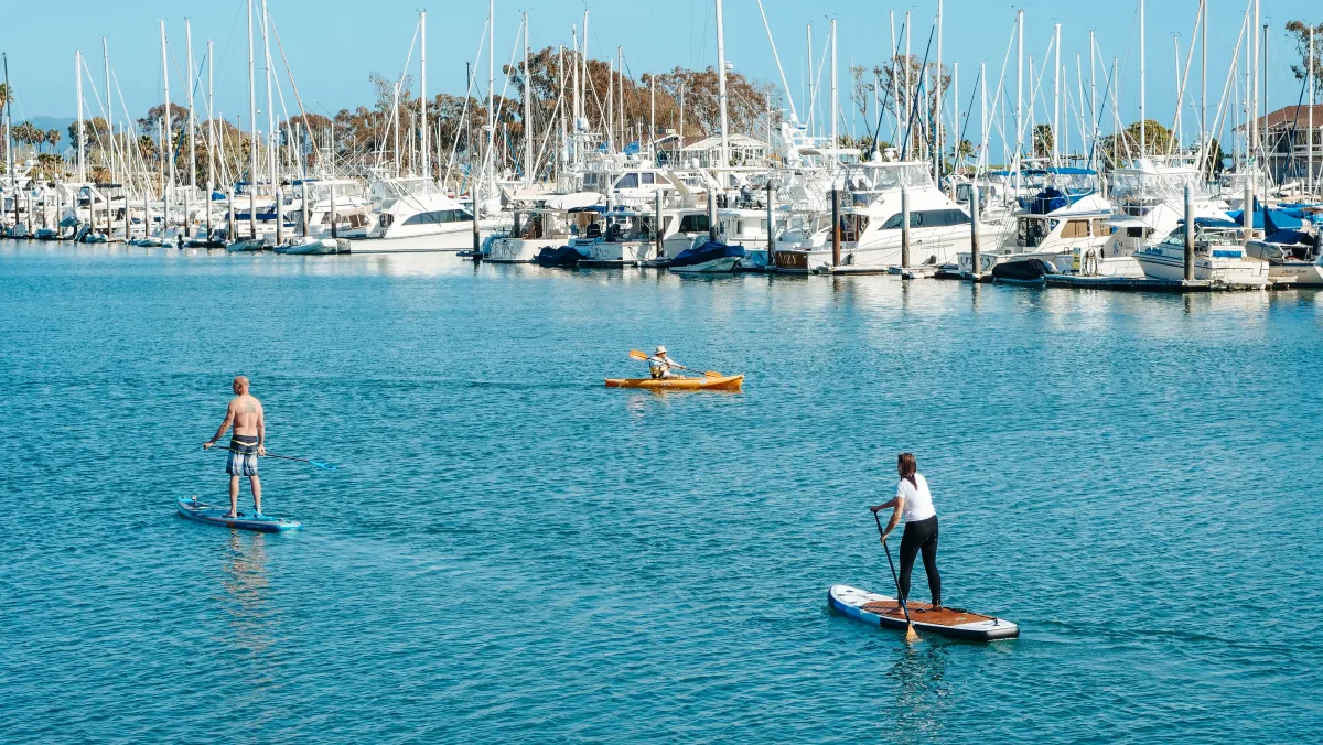 Two paddleboarders and a kayaker paddling near a marina in sunny conditions