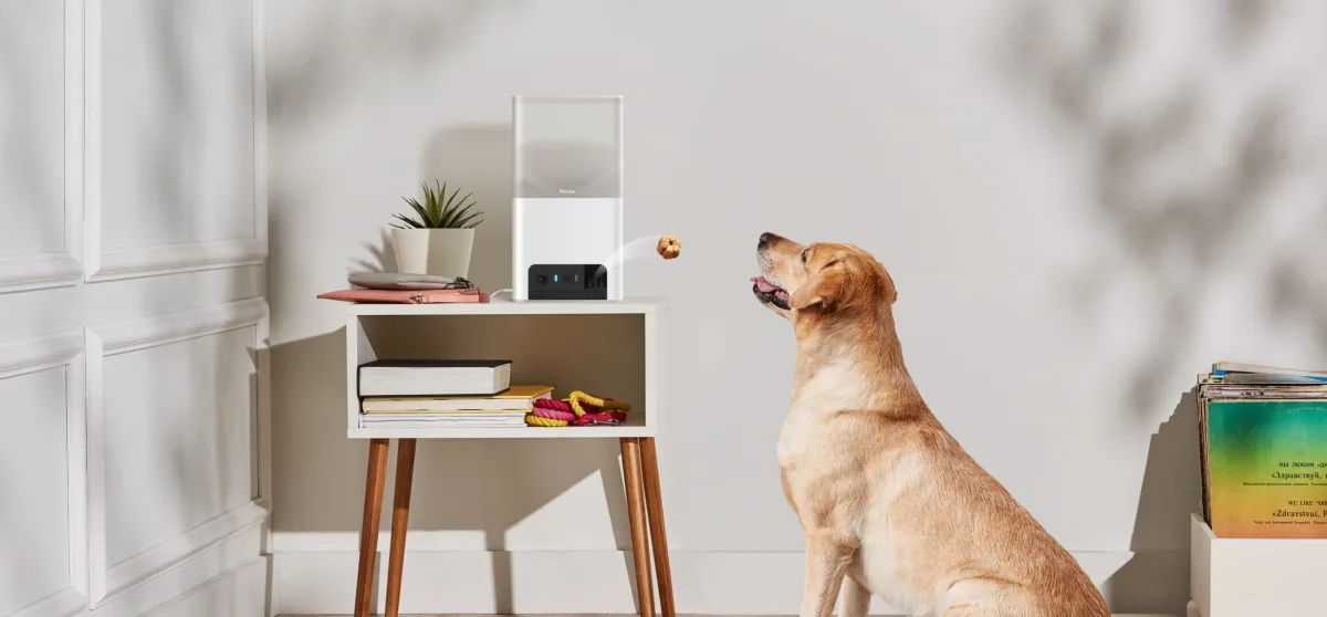 Petcube Bites 2 Lite