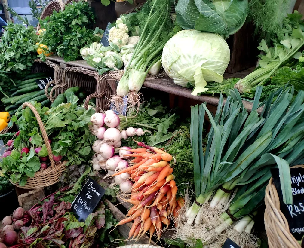 Colorful variety of fresh organic vegetables at a market — grocery shopping