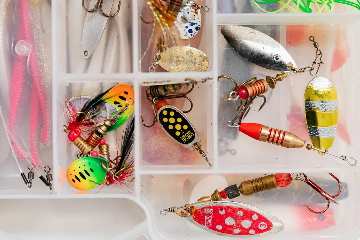 Assorted fishing lures in an organized tackle box
