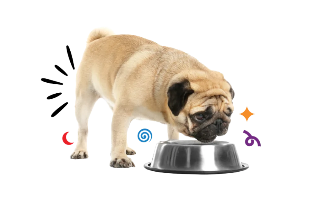 Digestion
