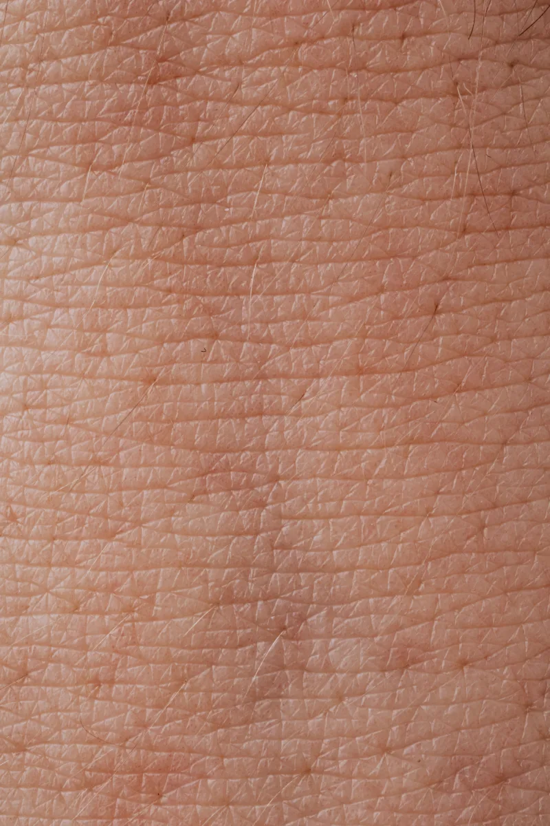 Macro close-up of skin texture showing pores — used to identify skin type before building a routine