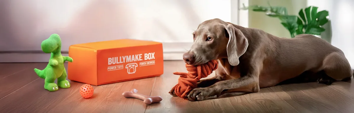 What's Inside a Bullymake Box