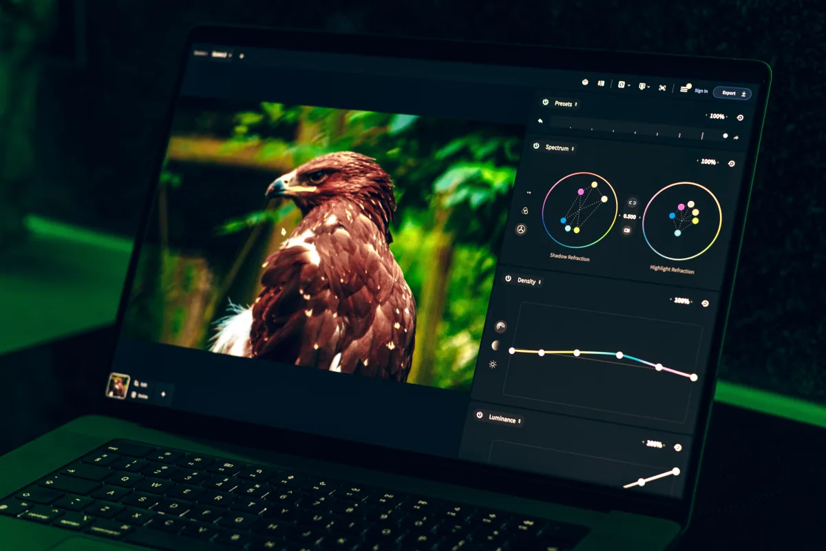 Laptop screen displaying wildlife photo being color-corrected with editing tools at night