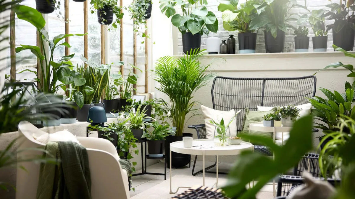 Furnishing with plants