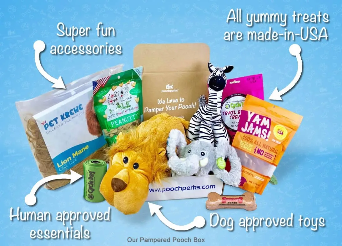 Pooch Perks Pampered Pooch Box