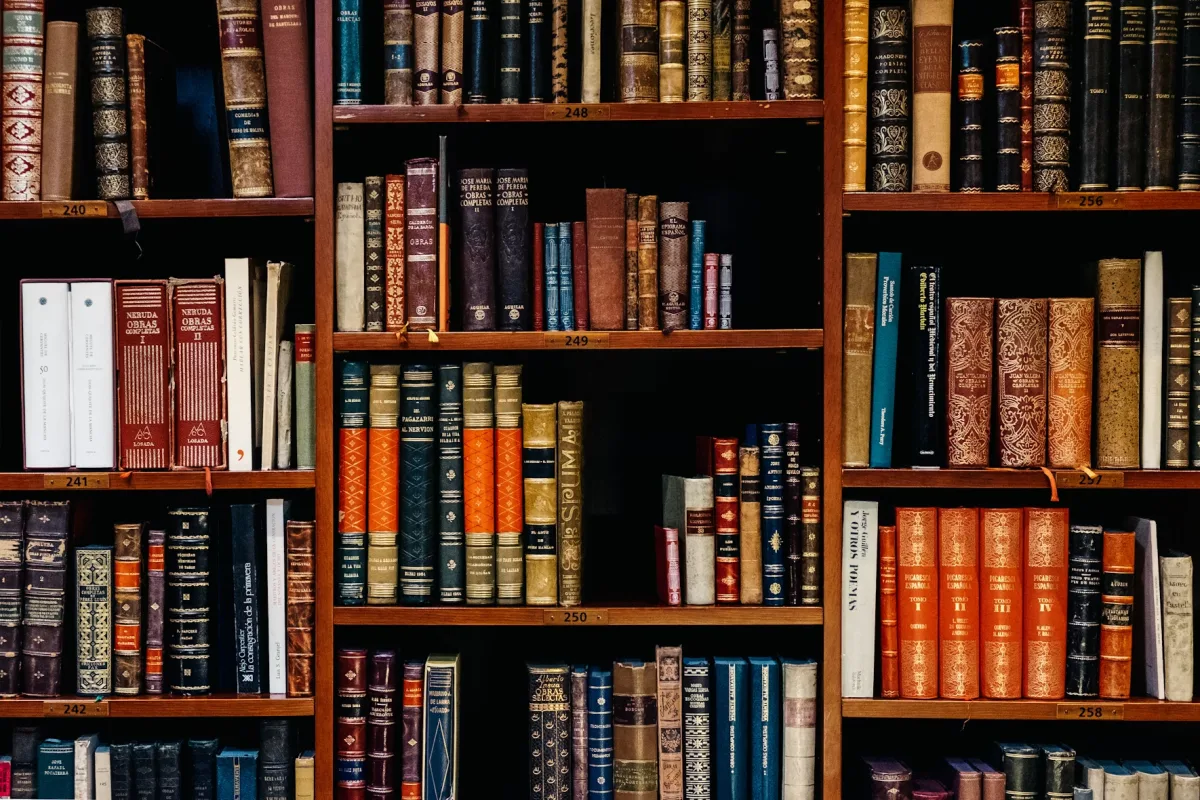 Rows of assorted books on dense shelves in an old bookstore