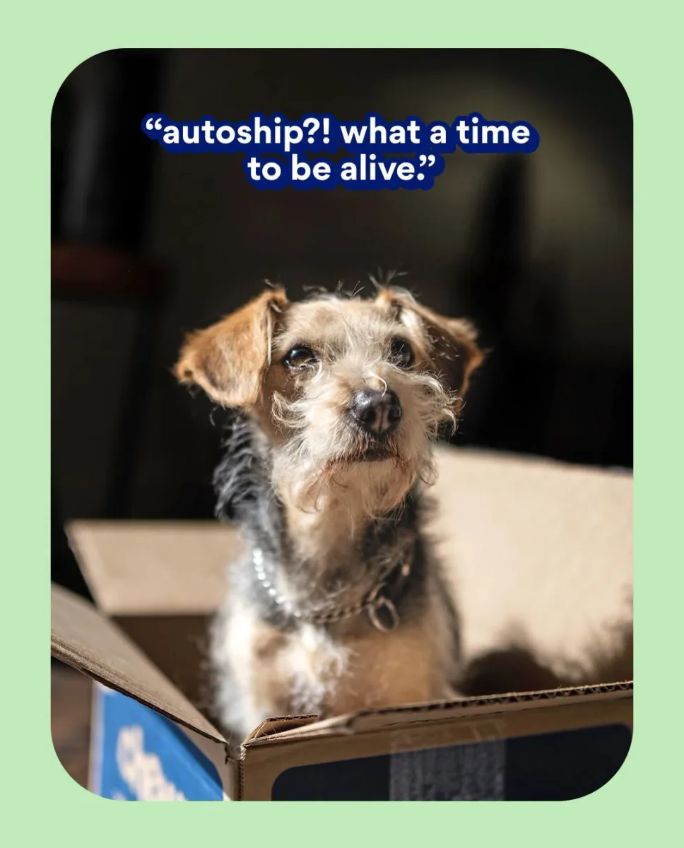 chewy Autoship