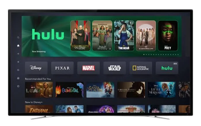 Hulu