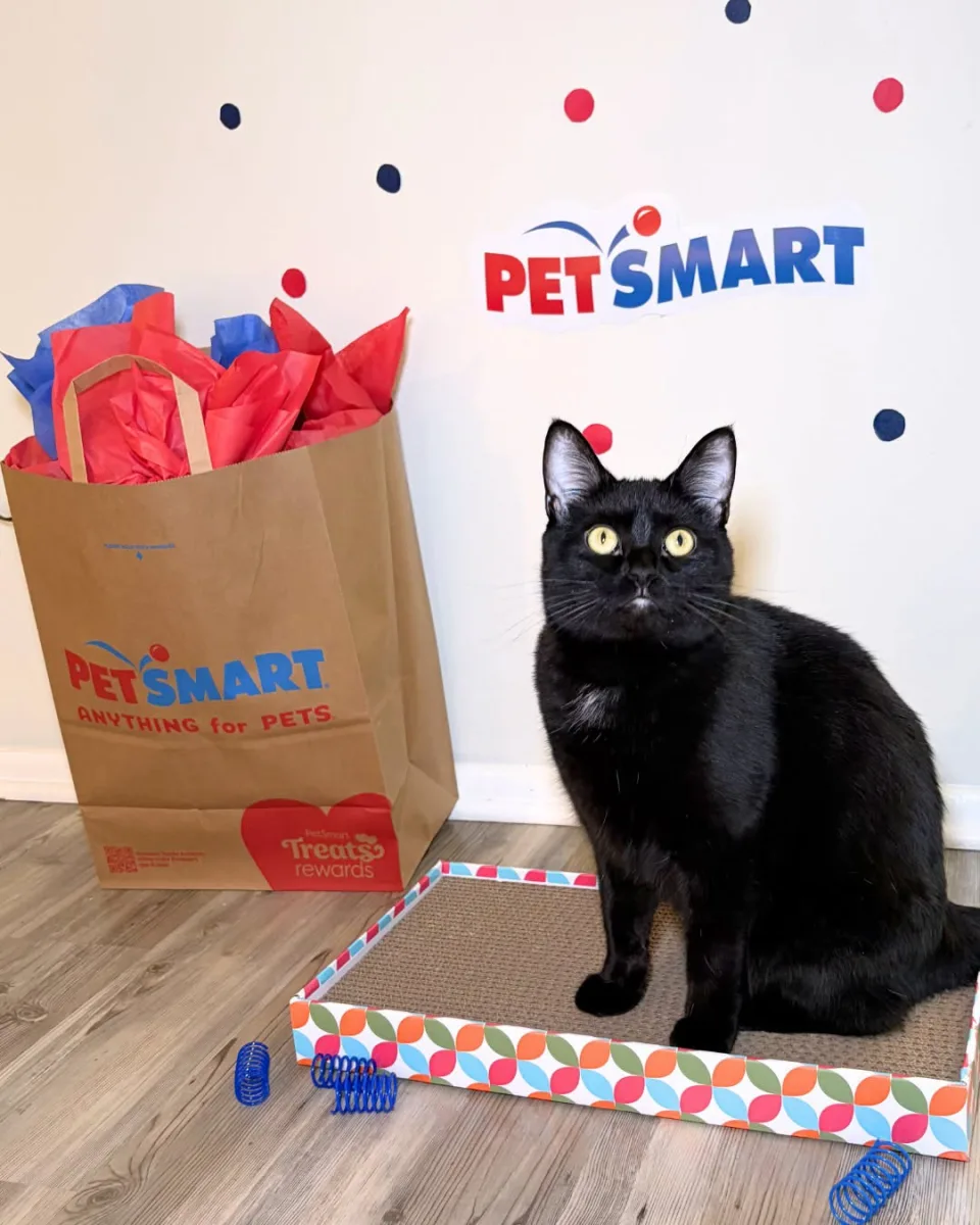 PetSmart Actually Is in 2026
