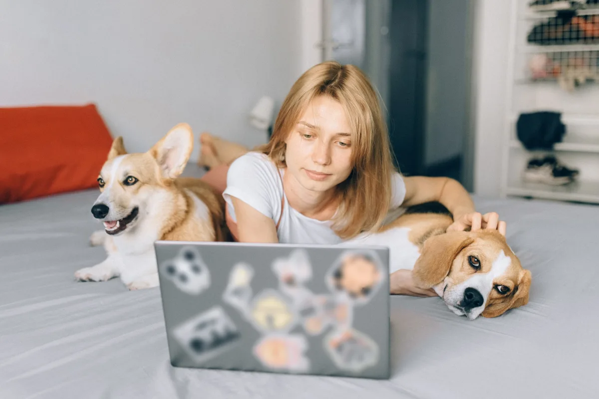 Pet owner checking in on pet remotely via laptop at home